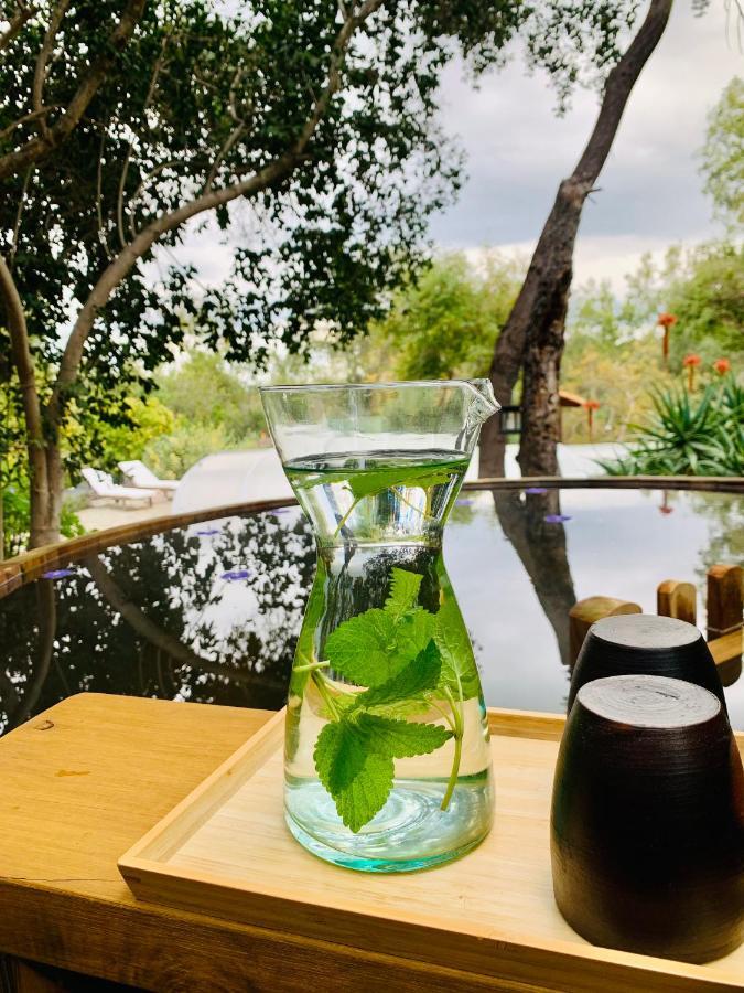 Kuralemu Casa De Campo Curacavi Eksteriør billede