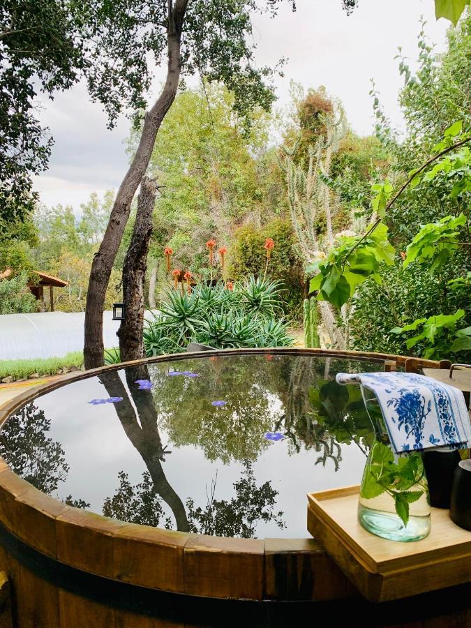 Kuralemu Casa De Campo Curacavi Eksteriør billede