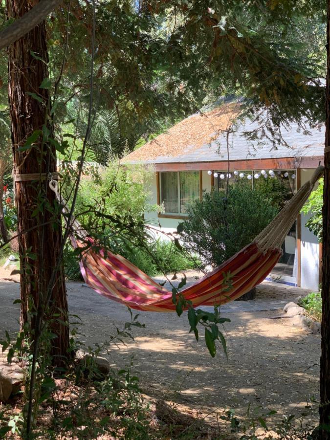 Kuralemu Casa De Campo Curacavi Eksteriør billede